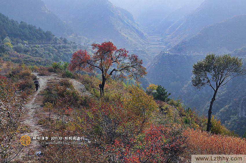 秋醉太行八百里,太行大峡谷写生秋季篇